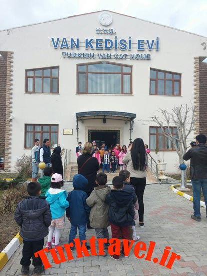 van kedisi evi