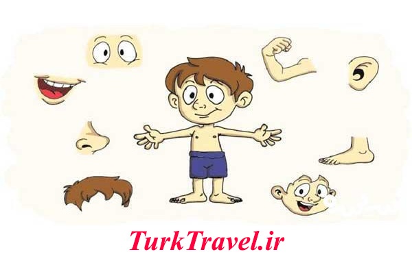 اعضای بدن در زبان ترکی استانبولی